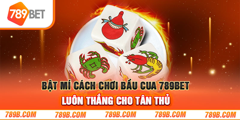 Bật Mí Cách Chơi Bầu Cua 789BET Luôn Thắng Cho Tân Thủ