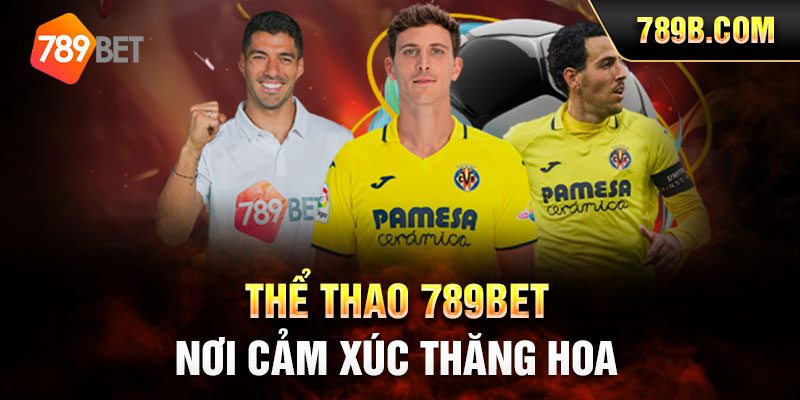 Thể Thao 789BET - Nơi Cảm Xúc Thăng Hoa 