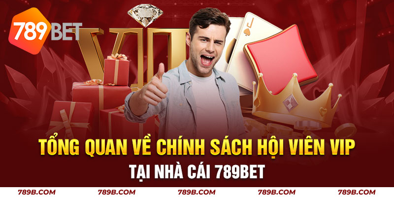 Tổng quan về chính sách hội viên vip tại nhà cái 789bet