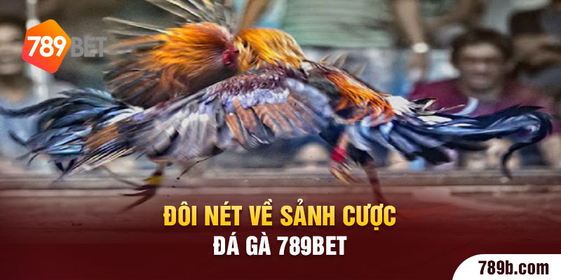 Đôi nét về sảnh cược đá gà 789BET