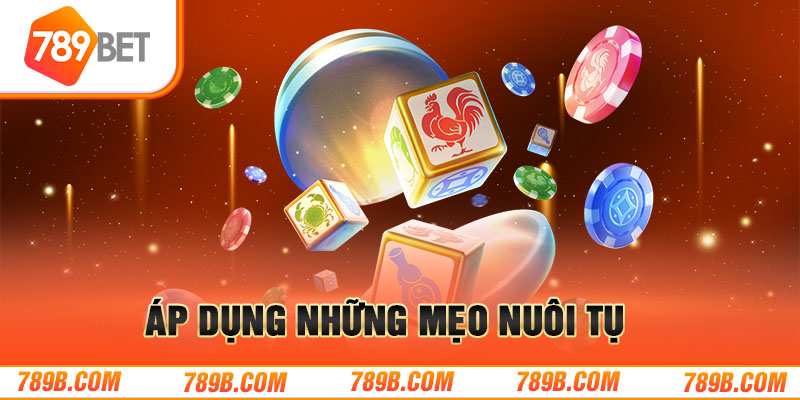 Áp dụng mẹo nuôi tụ 