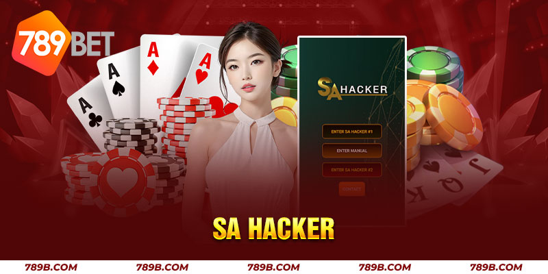 SA Hacker
