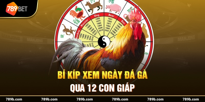 Bí kíp xem ngày đá gà qua 12 con giáp