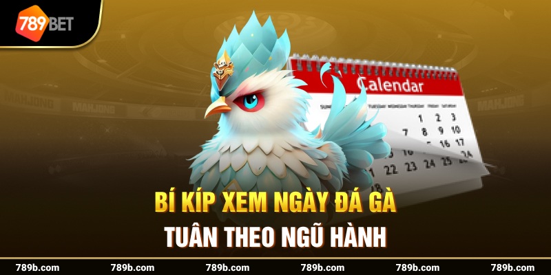Bí kíp xem ngày đá gà tuân theo ngũ hành
