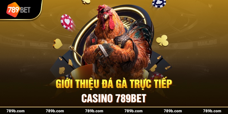 Giới thiệu đá gà trực tiếp casino 789BET 