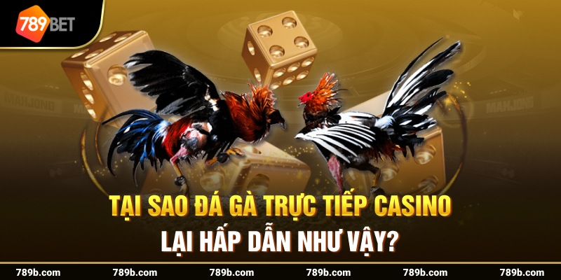 Tại sao đá gà trực tiếp casino lại hấp dẫn như vậy?