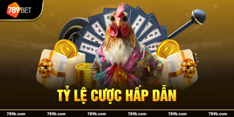 Tỷ lệ cược hấp dẫn