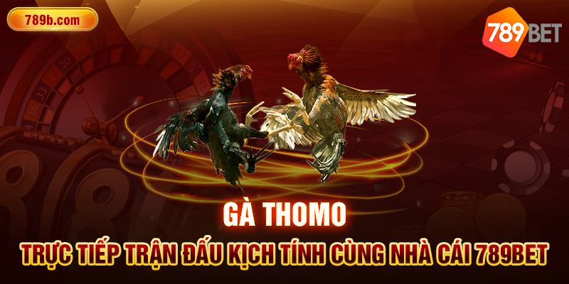 Gà Thomo – Trực Tiếp Trận Đấu Kịch Tính Cùng Nhà Cái 789BE