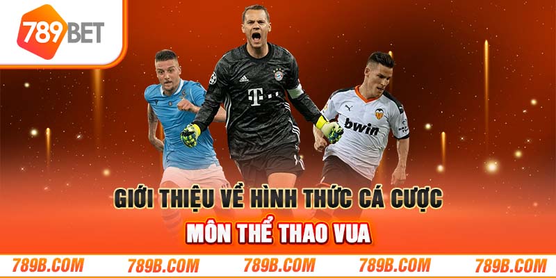 Giới thiệu về hình thức cá cược môn thể thao vua