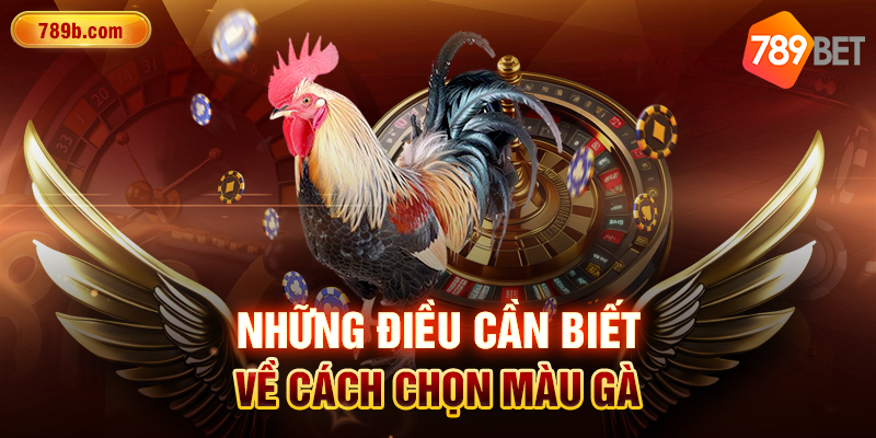 Những điều cần biết về cách chọn màu gà