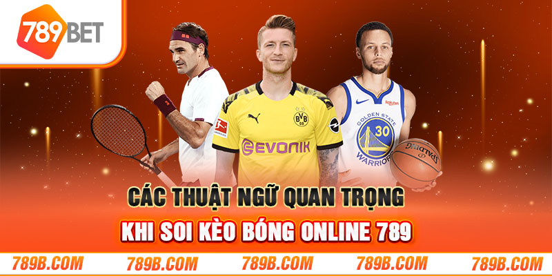 Các thuật ngữ quan trọng khi soi kèo bóng online 789
