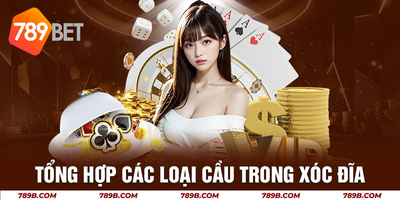 Tổng hợp các loại cầu trong xóc dĩa