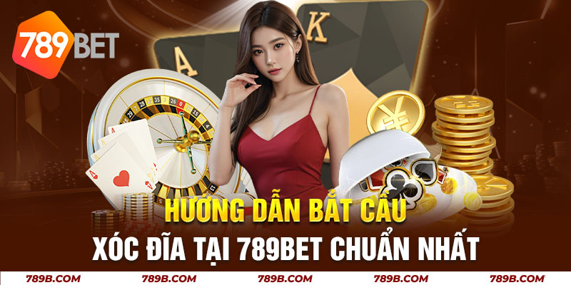 Hướng dẫn bắt cầu xóc đĩa tại 789BET chuẩn nhất