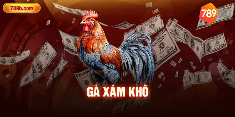 Gà xám khô