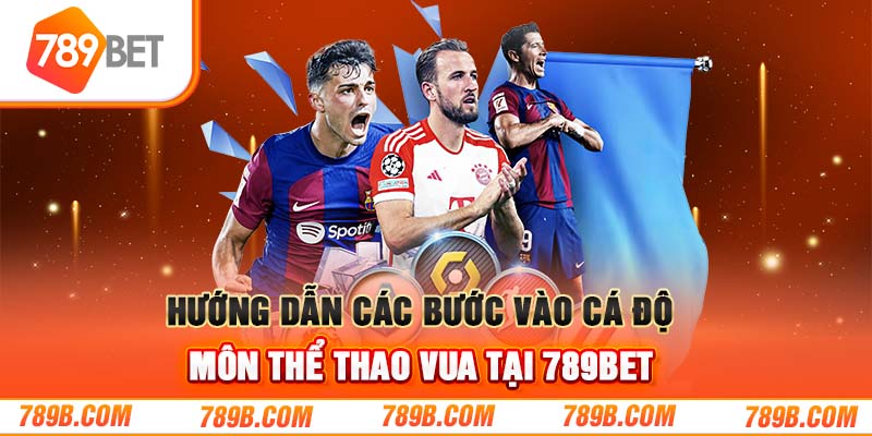 Hướng dẫn các bước vào cá độ môn thể thao vua tại 789BET