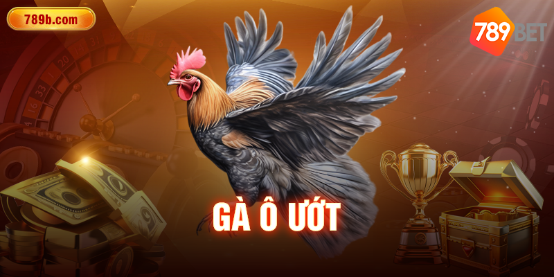 Gà ô ướt