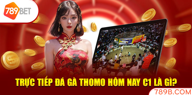Trực tiếp đá gà thomo hôm nay c1 là gì?