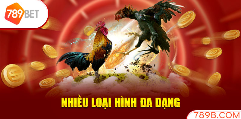 Nhiều loại hình đa dạng